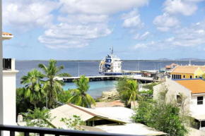 Bonaire Beach Apartment 16 with communal pool and diving facilities
